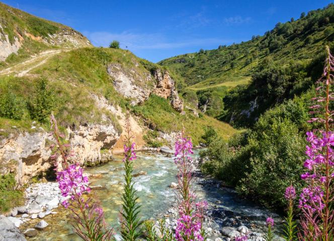 séjour en auvergne rhone alpes