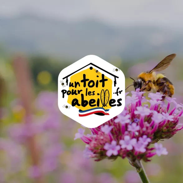 ATC Routes du Monde partenaire d'un Toit pour les Abeilles