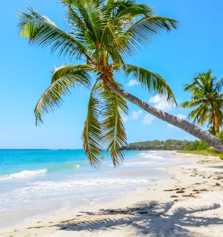 séjours iles caraibes