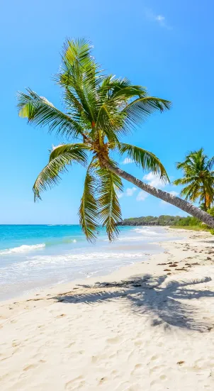 séjours iles caraibes