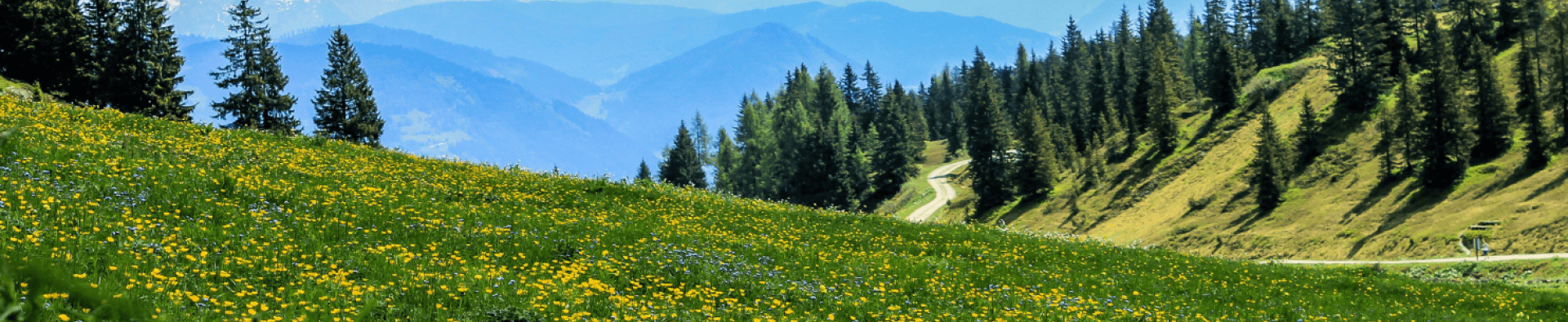 séjour organisé auvergne rhone alpes