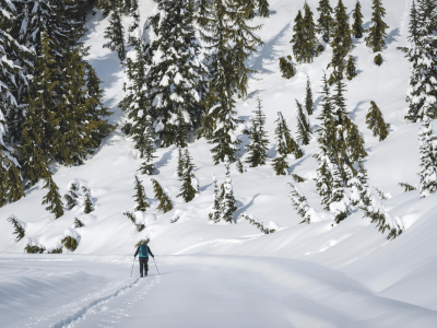 Randonnées raquettes haute savoie