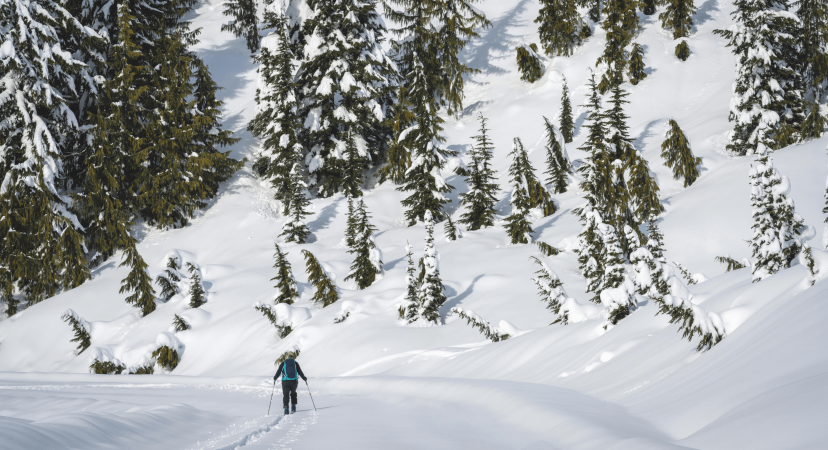 Randonnées raquettes haute savoie