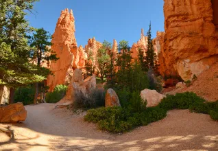 Bryce Canyon