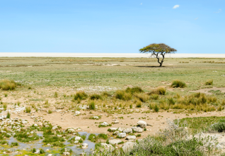 Parc national d'Etosha