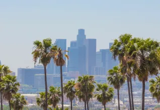 Vue sur les gratte-ciels et palmiers de Los Angeles