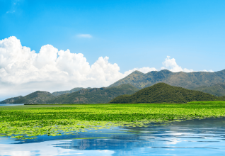 Le lac de Shkodra