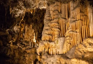 Grotte de Postojna