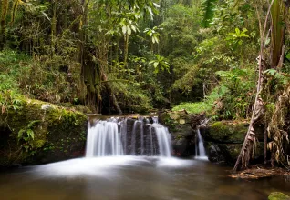 Parc national de Ranomafana