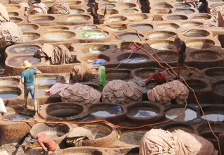 Tannerie marocaine à Fès