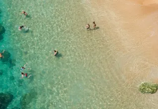 Bord de mer avec des nageurs