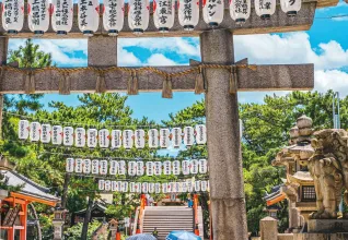 circuit organisé au japon