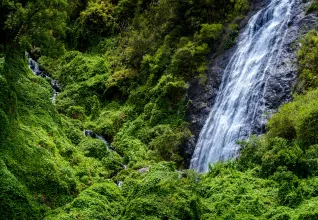 Cascade du voile de la mariée