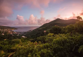 La savane des Esclaves en Martinique