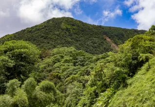 Les montagnes du Carbet en Martinique