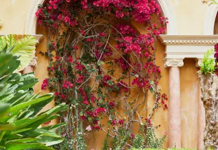 Villa Ephrussi de Rothschild à Saint-Jean de Cap Ferrat