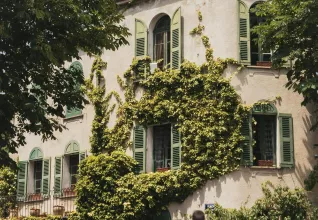 Rues arborées d'Aix en Provence