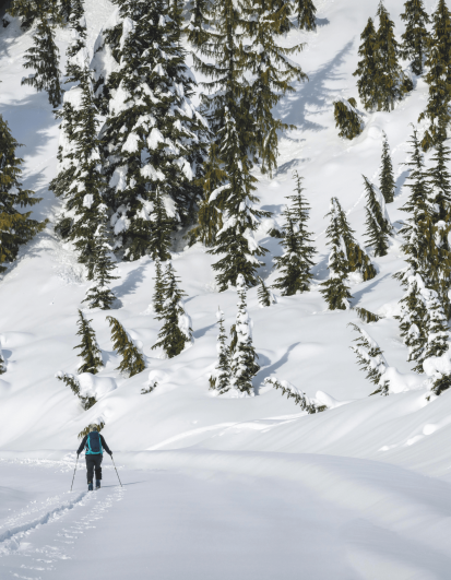 Randonnées raquettes haute savoie