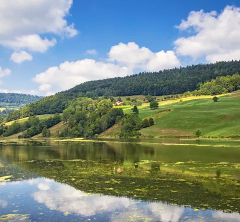 Le Doubs : une rivière de 453 kilomètres