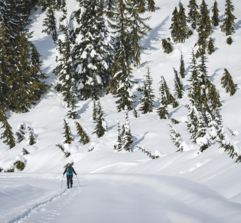 Randonnées raquettes haute savoie